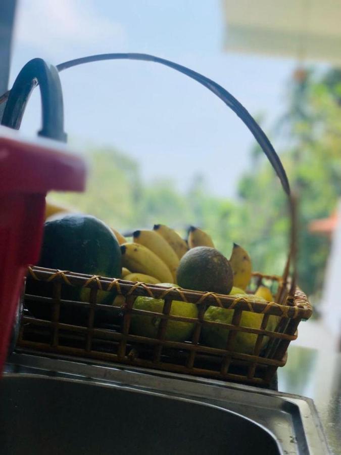 Finch Tangalle Extérieur photo