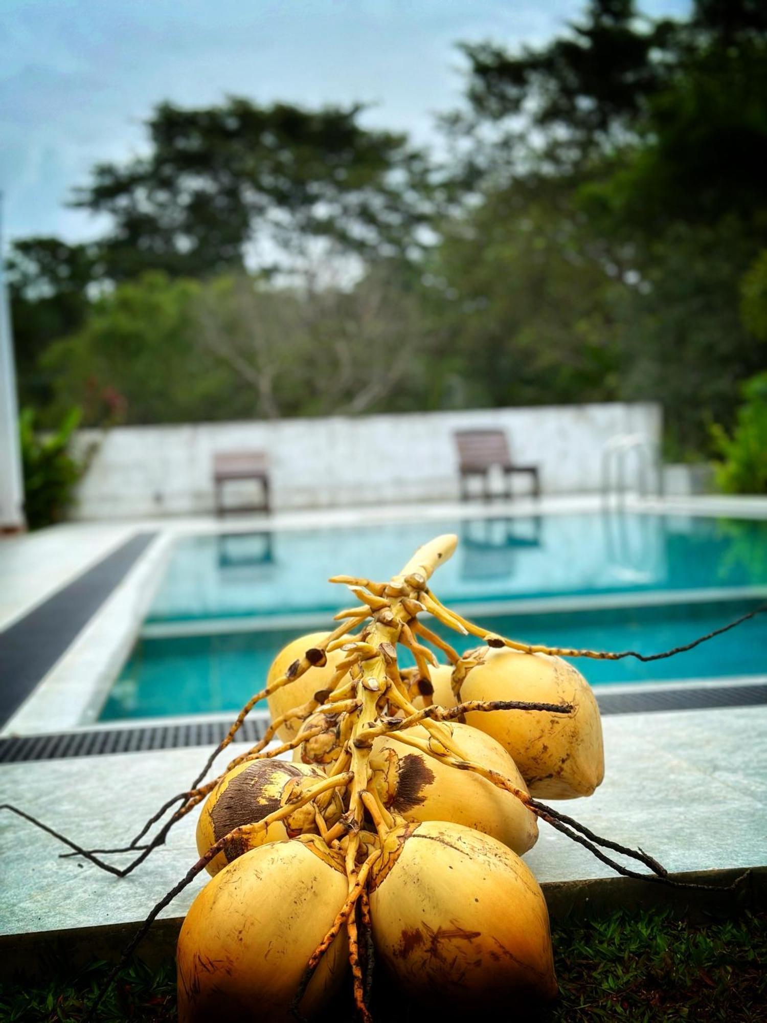 Finch Tangalle Extérieur photo